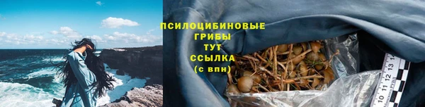 ГАЛЛЮЦИНОГЕННЫЕ ГРИБЫ Мегион