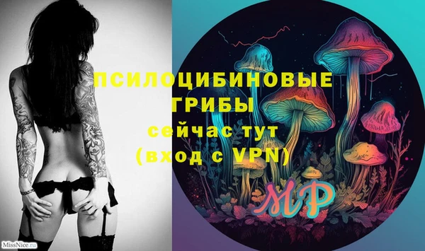 дурь Михайловск