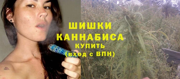 дурь Михайловск