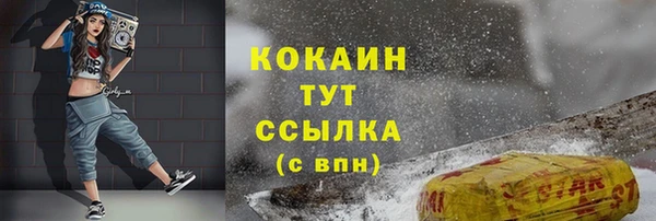 ПСИЛОЦИБИНОВЫЕ ГРИБЫ Медвежьегорск